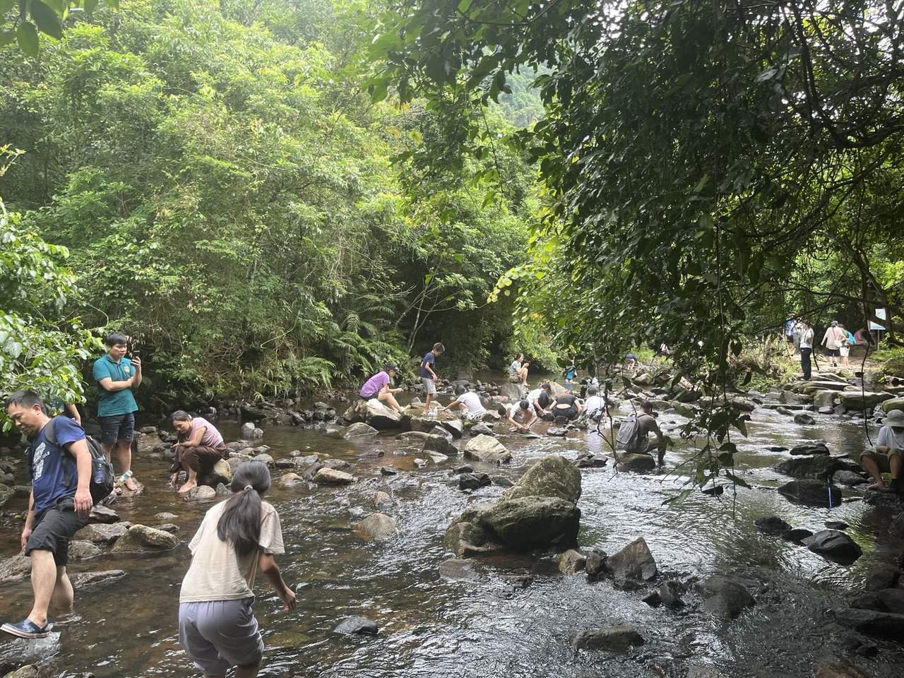 孩子们在林间浅溪的石头与流水间玩水