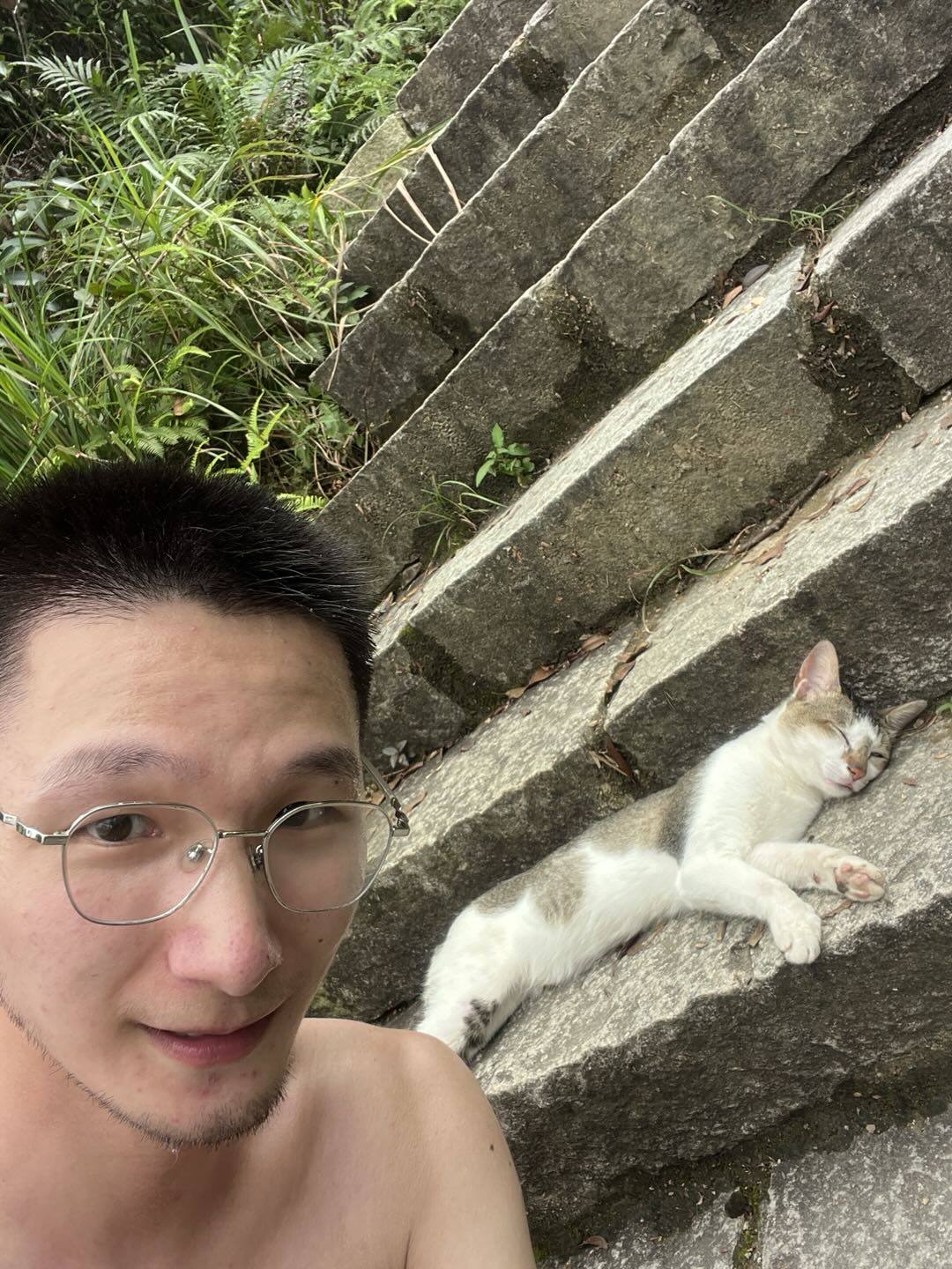 戴眼镜的人在长满绿植的石阶旁自拍,一只白色带灰褐色斑纹的小猫闭眼侧躺在台阶上休息