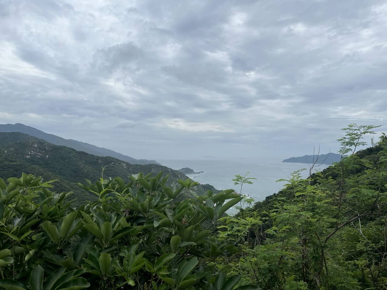 完成一段爬升后,透过山坡上茂密的绿色植被望见连绵山岭、弯曲海岸与灰蓝色海面;远处低矮陆地隐在阴云下,光线柔和而昏暗