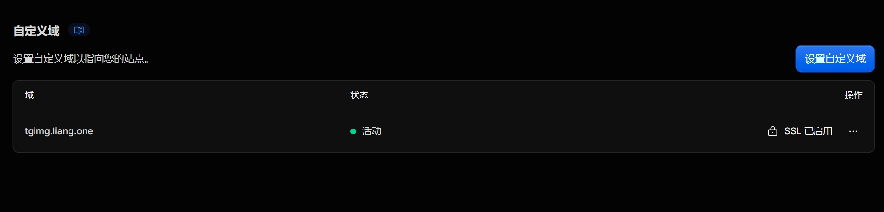 自定义域名配置截图