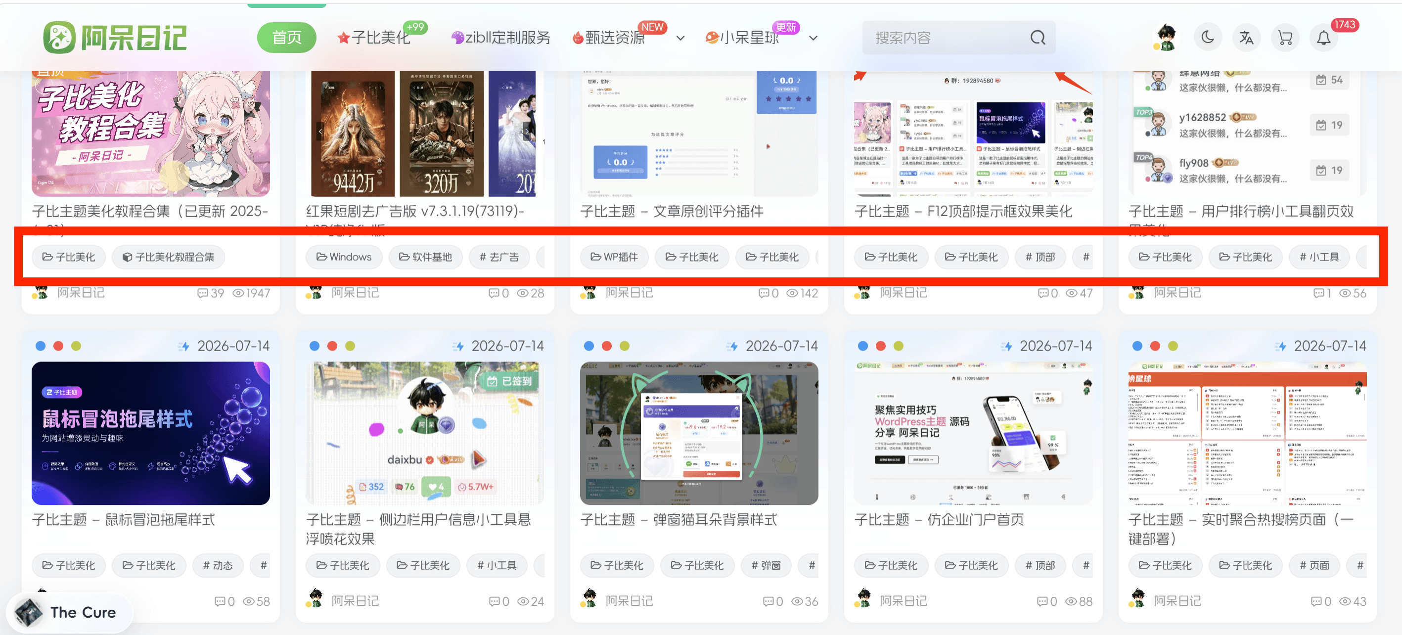 子比主题-卡片简约标签美化|阿呆日记