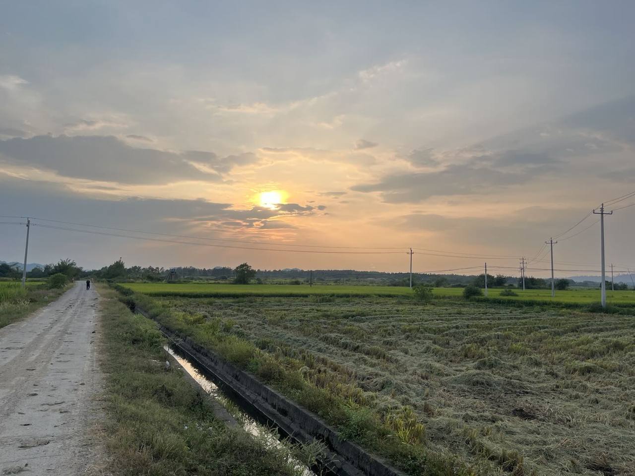 低太阳、乡间小路、水沟和远处田野